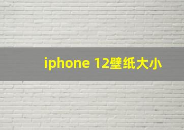 iphone 12壁纸大小